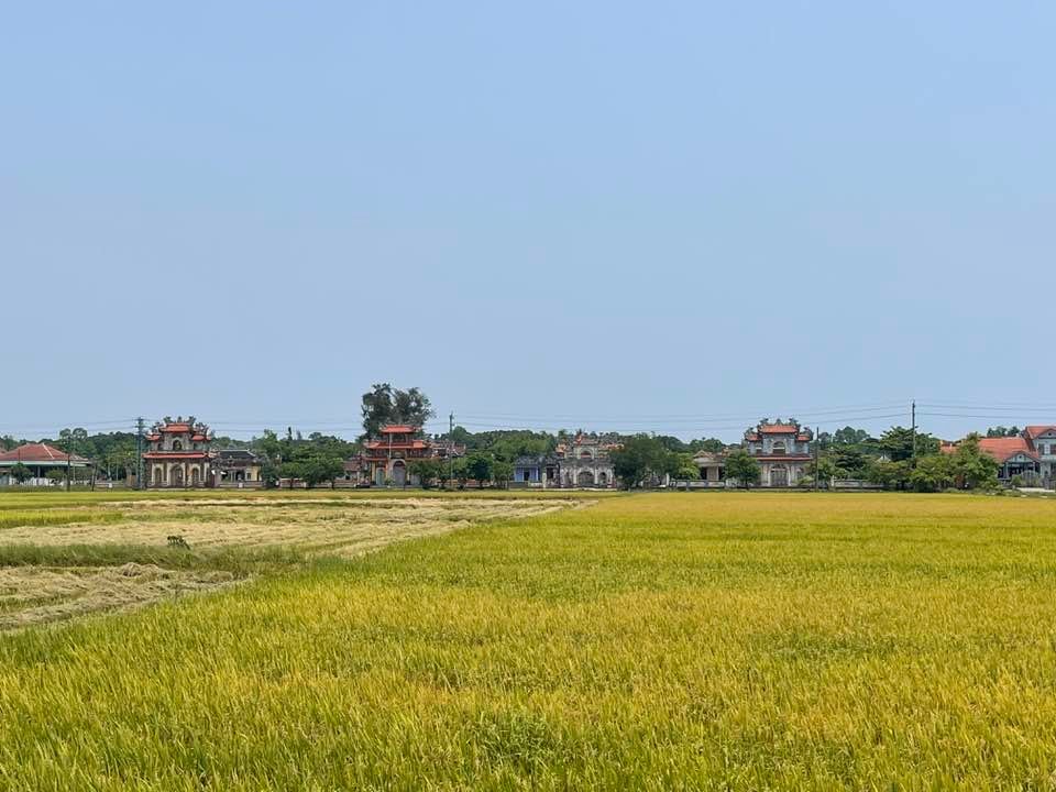 Vietnam Self-Guided Ocean Road Bike Tour 7 Days